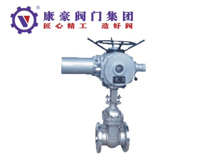 美標不銹鋼電動閘閥